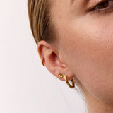 Sun Kiss Clover Stud Øreringe 18K Guldbelagt