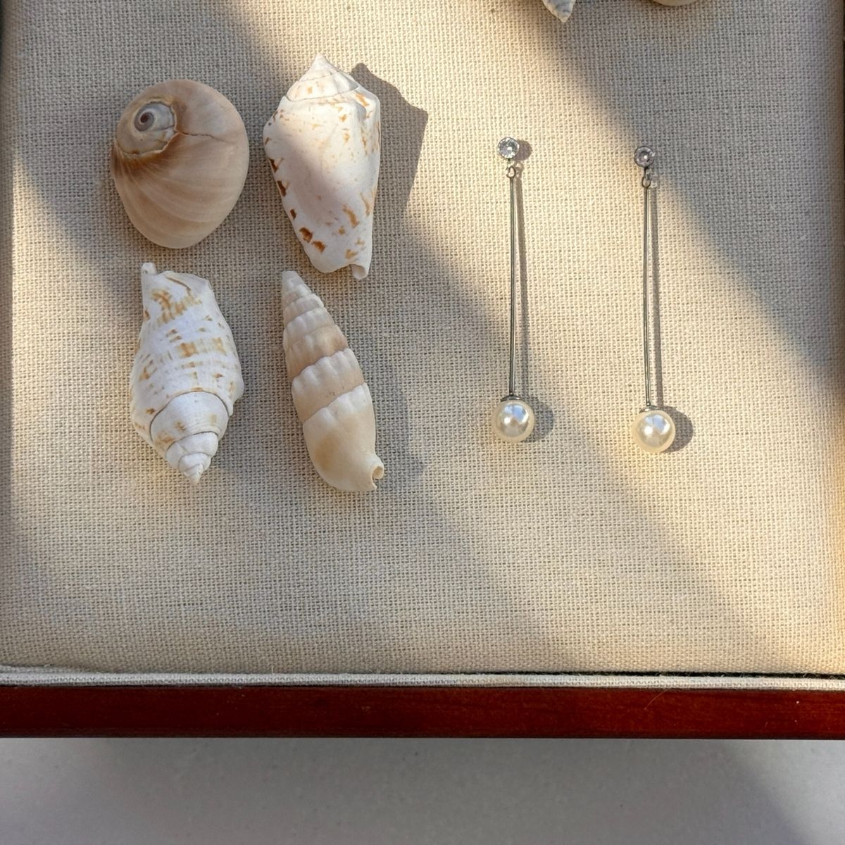 krystal-drop-oereringe-soelvfarvet-foran-musling-camilla-kroeyer-jewellery